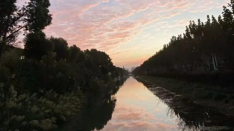 商标尽调：全面解析尽调的五个关键方面