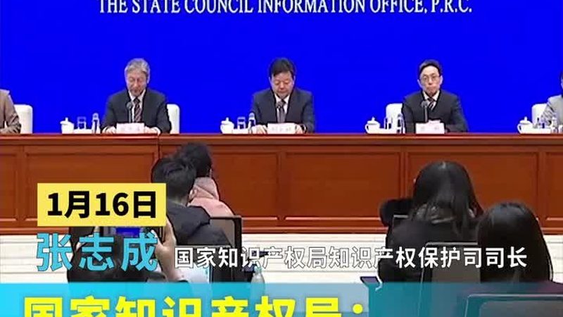 发明专利与实用新型专利：区别与时间考量